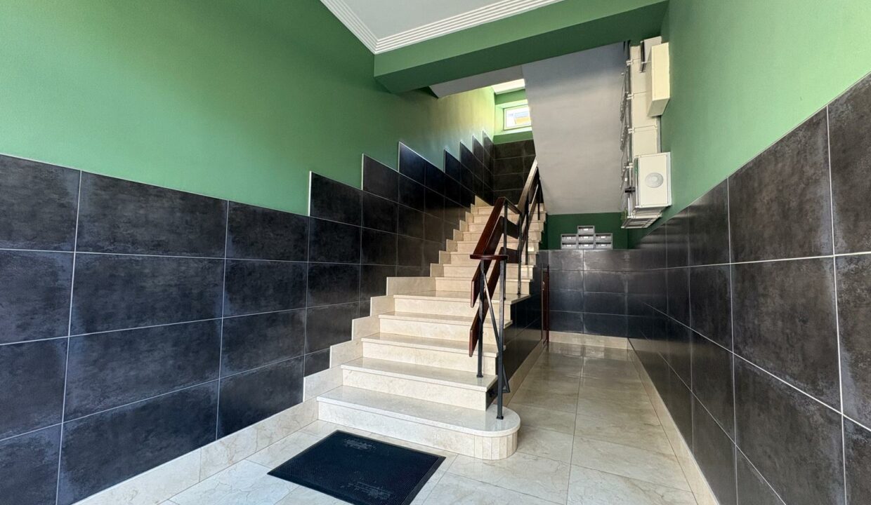 d5183de4-ce1f-43ae-8dae-c1f4298c8bed